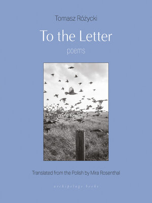 cover image of To the Letter